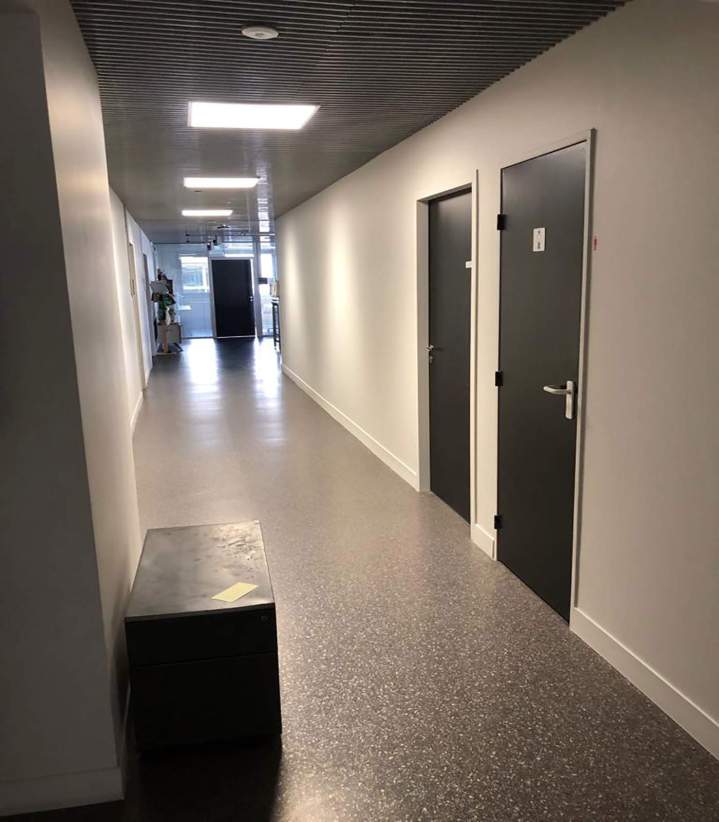 Peinture élégante et durable